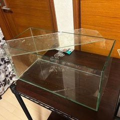 金魚 めだか 熱帯魚 水槽セットの画像