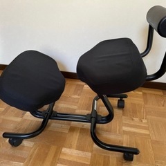 ノルウェーブランド hag balans 5040 ホーグ バランスチェア ランバーサポート付きの画像