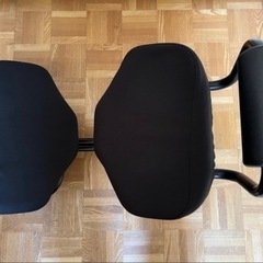 ノルウェーブランド hag balans 5040 ホーグ バランスチェア ランバーサポート付きの画像