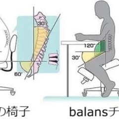 ノルウェーブランド hag balans 5040 ホーグ バランスチェア ランバーサポート付きの画像