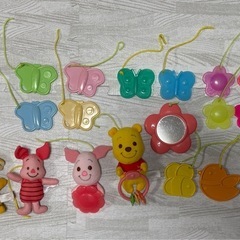 プーメリーの画像