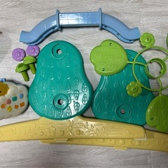 プーメリーの画像