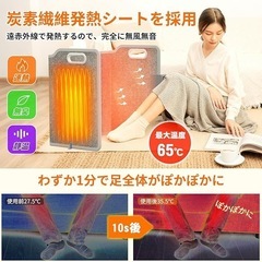 パネルヒーター 足元 ペット 遠赤外線 電気 温度調節 タイマー PSE認証の画像