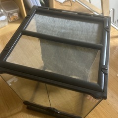 グラステラリウムの画像