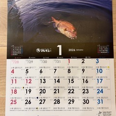 Fishing Calendar 2026 壁掛けカレンダー　マルキューの画像