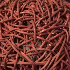 〈伝説のクラブ〉間接照明セットの画像