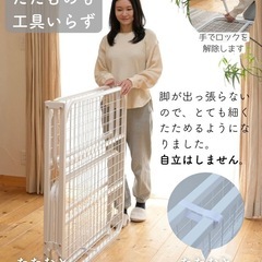 未使用＊シングルパイプベッドの画像