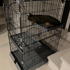 猫用ケージ
の画像
