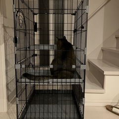 猫用ケージ
の画像