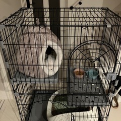 猫用ケージ
の画像