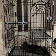 猫用ケージ
の画像