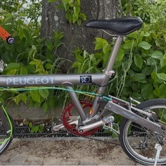 プジョー　パシフィック18の画像