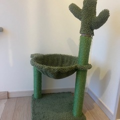 🌵猫ミニタワーサボテンの画像