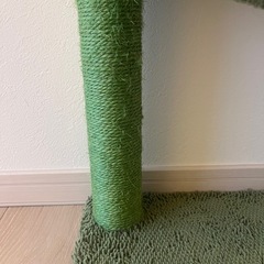 🌵猫ミニタワーサボテンの画像