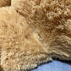 コストコ　大きなクマさんの画像