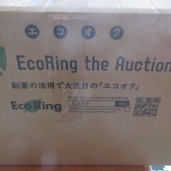 ブランドTシャツ300円の画像