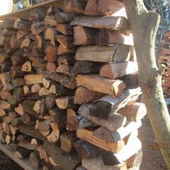 乾燥薪MIX,長さ３５ｃｍ前後、幅２ｍ高さ１ｍ１０ｃｍ、薪ストーブ用、軽トラアオリ位までの量、重さ２００ｋｇ？の画像