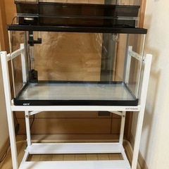 GEXラピレスRV60 水槽台セット　ガラス水槽　の画像