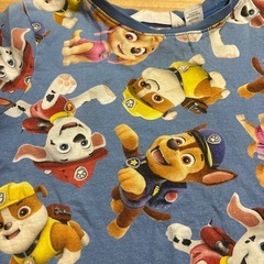 4歳位★パウパトロールの画像