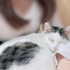 🌸未婚のお友達募集🌸