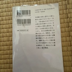 桜のような僕の恋人の画像