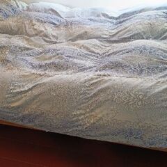 羽毛布団  京都金桝 ハンガリーホワイトダウン93％・1.3kg シングル2層キルト 収納袋付の画像