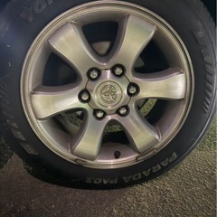 プラドホイルの画像