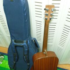 ★Martin & Co. DX1AE(エレアコ)＋Taylor CEｰ114 ES2 (エレアコ) の画像