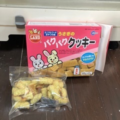 ウサギ関連の画像