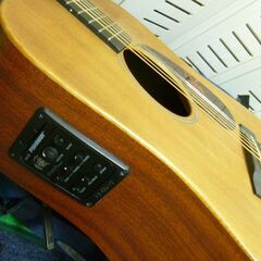 ★Martin & Co. DX1AE(エレアコ)＋Taylor CEｰ114 ES2 (エレアコ) の画像