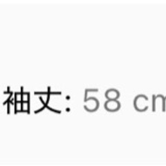 豹柄　ショート丈ニット　Sサイズの画像