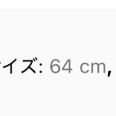 ミニスカートの画像