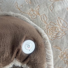 足もうふ、電気の画像