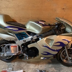 ポケバイ　新車　新品の画像