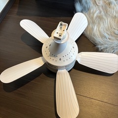 シーリングライト ファンの画像