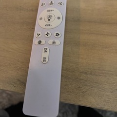 シーリングライト ファンの画像