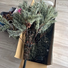 クリスマスツリー、日常品全ての画像