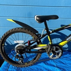 DRIDE 20 インチ6変速の画像