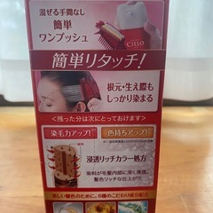 白髪染　未使用の画像