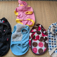小型犬用服 5点セット S サイズ　2号　秋冬　犬服まとめての画像