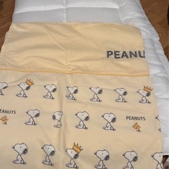 ココネルエアー　ココアの画像