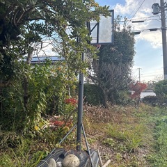 バスケットリングの画像