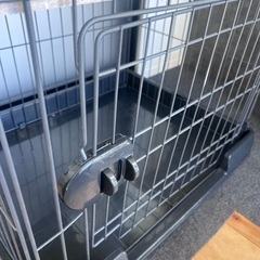 猫 2段ゲージ アイリスオーヤマ の画像