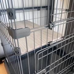 猫 2段ゲージ アイリスオーヤマ の画像