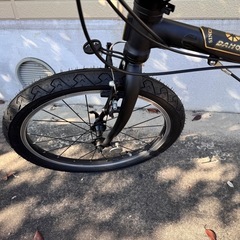 ダホン　ボードウォークW8 限定モデル
の画像