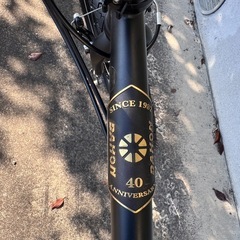 ダホン　ボードウォークW8 限定モデル
の画像