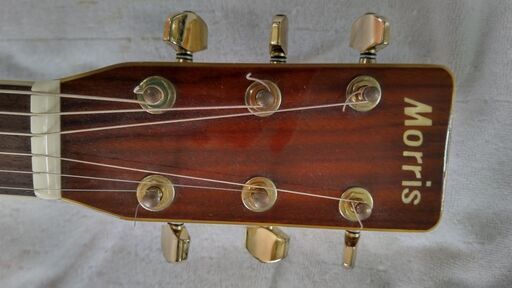 美品！アコースティックギタービンテージMorris MD-515 (ドルフィン