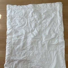 西川産業ベビー羽毛布団、DELEC肌掛け布団、布団カバーの画像