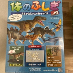 体のふしぎ、おしゃべりガイコツ　の画像