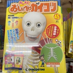 体のふしぎ、おしゃべりガイコツ　の画像